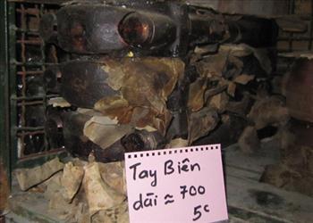 dài khoảng 700